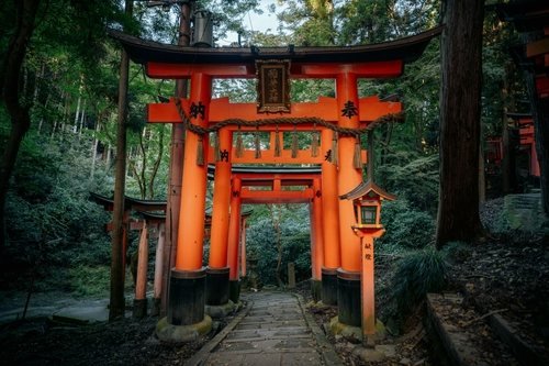 A stone path leads through red torii gates in the forest
